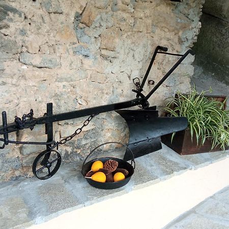 Agriturismo U'Spigu Nonna Annetta Nasino Экстерьер фото